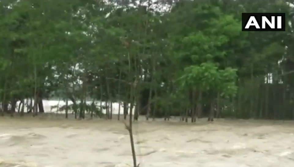 पूर्वोत्तर के राज्य असम में बाढ़ से छह और लोगों की मौत