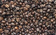 रोजाना पीएं 4 कप कॉफी, होंगे ये फायदे