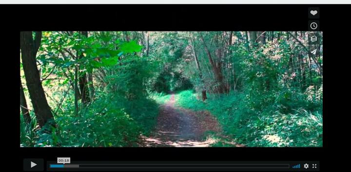  कंपनी ने कहा कि वीडिेयो बनाने वाले शर्ट या फोन के कवर जैसी वस्तुएं भी चैनल पर बेच सकेंगे. फोटोः गूगल फ्री इमेज 