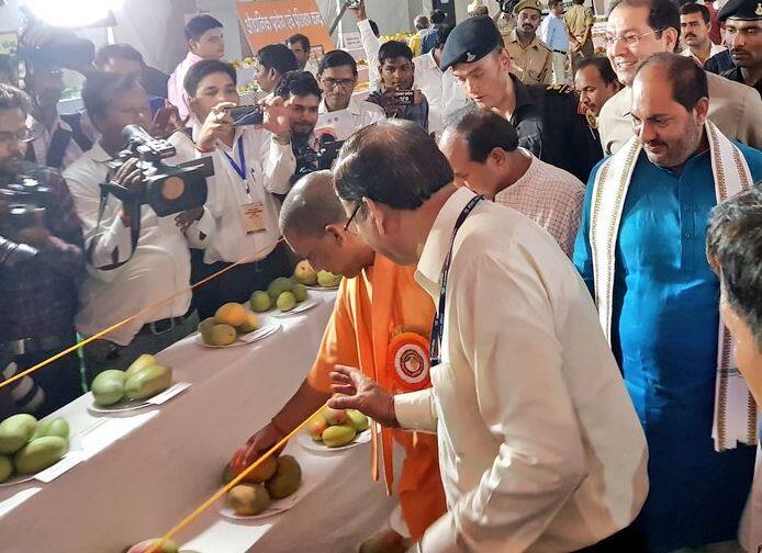 लखनऊ के इंदिरा गांधी प्रतिष्ठान में चल रहे आम महोत्सव का उद्घाटन सीएम योगी आदित्यनाथ ने किया. देश में सबसे अधिक आम का उत्पादन यूपी में होता है लेकिन निर्यात में अब भी पीछे है.