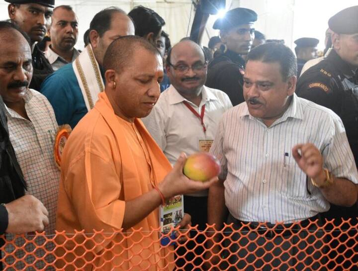 ऐश्वर्या आम फ़िल्म अभिनेत्री ऐश्वर्या राय के नाम पर रखा गया है. गुलाब जामुन मिठाई तो आपने न जाने कितनी बार खायी होगी लेकिन लखनऊ के आम महोत्सव में इसी नाम के आम भी आप चख सकते हैं.