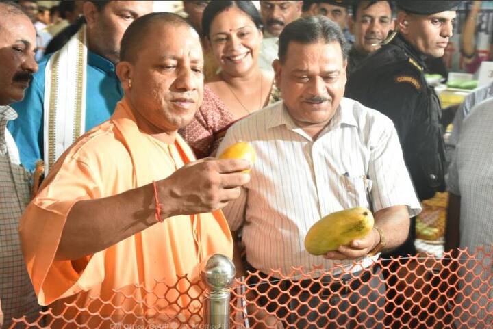 केसर आम का रंग कुछ कुछ केसर से ही मिलता है. मुंबई के दो आम अलफांसो और बॉम्बे ग्रीन को भी लोग ख़ूब पसंद कर रहे हैं. एक दो नहीं 703 क़िस्म के आम इस महोत्सव में लगाए गए हैं. ये प्रदर्शनी 24 जून तक चलेगी. महोत्सव में आम से बने अचार, जूस, अमावट और स्क़वैश भी लोग देख और ख़रीद सकते हैं.