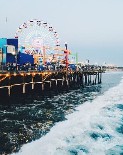 लक्जरी होटल्स, रेजाट्स और स्पा की है भरमार-  सैंटा मोनिका में लक्जरी होटल्स, रेजाट्स और स्पा की भरमार है. इसका कारण यह है कि यह एक इंटरनेशनल डेस्टीनेशन है. यहां के होटल हालीवुड के होटलों से बिल्कुल अलग हैं. यहां के होटल सीफेसिंग हैं और लोकल टच लिए हुए हैं. यहां बीच पर अनेकों होटल और रेजाट्स मिल जाएंगे, जहां हालीवुड के इलीट लोग आराम करते देखे जा सकते हैं. होटलों और रेजार्टस के अलावा कई ऐसे बंग्लो हैं, जहां रात की जिंदगी बड़ी सुकून भरी होती है. साथ ही साथ यहां अनेकों स्पा हैं, जो दिन भर मौज-मस्ती करते, बीच पर खेलकर और सर्फिंग करते थके लोगों को सुकून देते हैं. यहां के स्पा, योगा स्टुडियोज जूसिंग बार्स काफी लोकप्रिय हैं.फोटोः गूगल फ्री इमेज 