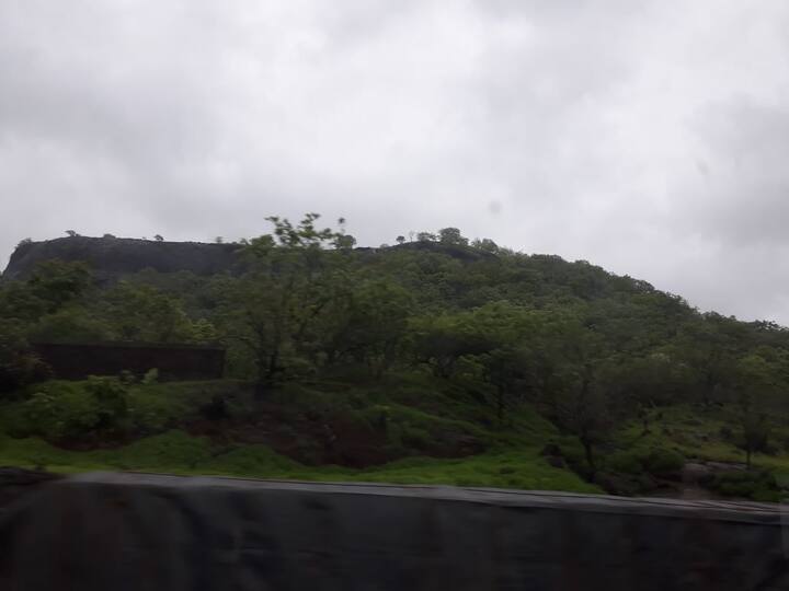 मानसून के समय महाराष्ट्र में हरियाली देखते ही बनती हैं. कहीं पक्षियों की आवाजें तो कहीं नाचते मोर देखकर आपका दिल भी बाग-बाग हो जाएगा. फोटोः सोशल मीडिया 