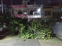 गर्मी और उमस से मिलेगी राहत, अगले एक-दो दिन रुक-रुक कर होती रहेगी बारिश