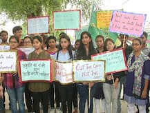 कुंभ के लिए इलाहाबाद में काटे जा रहे हैं हजारों हरे पेड़, पर्यावरण को बड़े नुकसान की आशंका