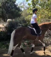 मशहूर फुटबॉलर डेविड बेखम और उनकी पत्नी ने बेटी को बर्थ-डे से पहले दिया लाखों का तोहफा