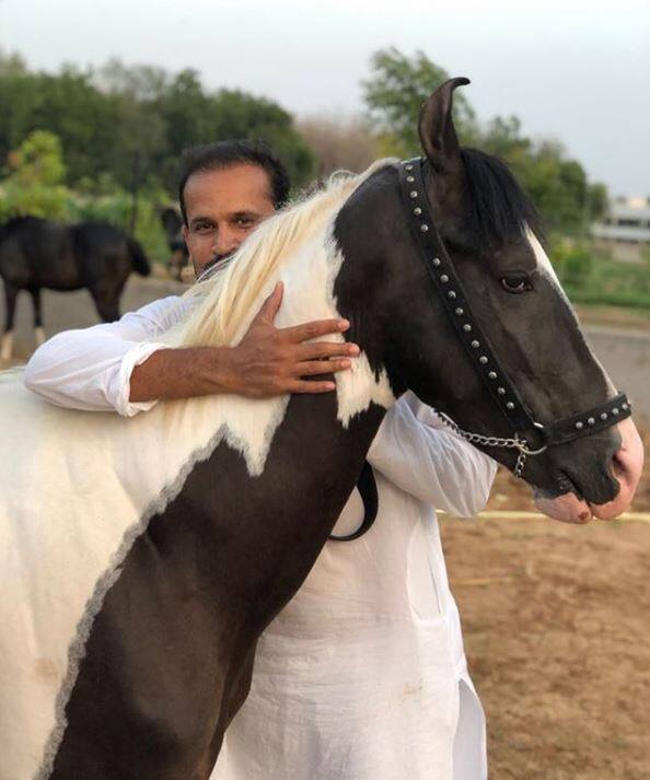 वहीं क्रिकेटर ने इस तस्वीर को शेयर करते हुए लिखा, 'भले ही वो हमारी भाषा को न समझते हों लेकिन जानवर अक्सर प्यार की भाषा का जवाब देते हैं'. (तस्वीर-इंस्टाग्राम)