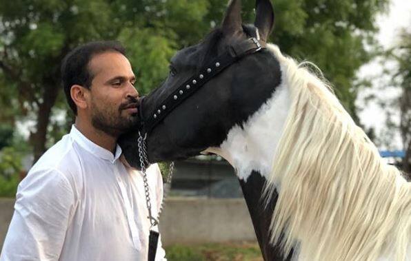 भारतीय क्रिकेटर यूसुफ पठान ने अपने इंस्टाग्राम पर हैरान करने वाली एक तस्वीर शेयर की है. इस तस्वीर में यूसुफ घोड़े से बात करते और उनके साथ मस्ती करते नजर आ रहे हैं. (तस्वीर-इंस्टाग्राम)