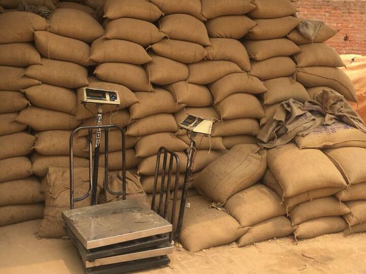 अदालत ने इसे बेहद गंभीर मामला माना है और कहा है कि अनाज को किसी भी सूरत में बर्बाद होने से बचाने की कोशिश होनी चाहिए. अदालत ने सभी को जवाब दाखिल करने और उचित कदम उठाने के लिए दो हफ्ते की मोहलत दी है. 