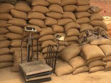 सरकारी गोदामों में गेंहू भीगने पर हाईकोर्ट सख्त, केंद्र और यूपी सरकार से जवाब तलब