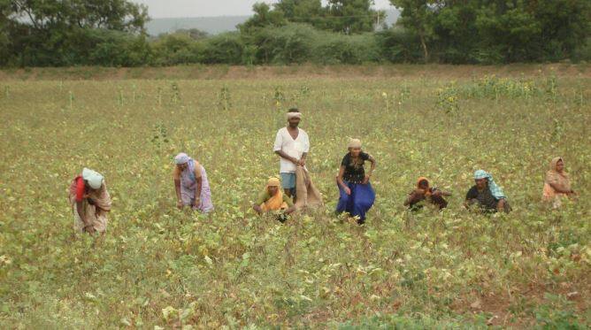 भारत कृषि प्रधान देश है जहां मिथिला एक ऐसा हिस्सा है जहां पर कृषि बारिश पर आधारित है. यहां पर बारिश के लिए इंद्रदेव को गाना गाकर रिझाया जाता है जिस गीत को 'जटा-जटिन' कहते हैं वहीं प्रकृति पूजन के लिए अलग गीत है. (तस्वीर: गूगल फ्री इमेज)