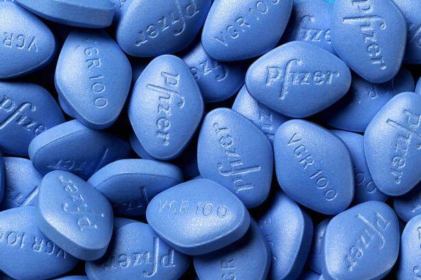 आपको बता दें, 100 Pfizer यानि वियाग्रा को इरेक्टाइल डिस्फंक्शन की दवा भी कहा जाता है. डॉक्टर्स ऐसे लोगों को ये दवा लेने की सलाह देते हैं जिनको   सेक्स के दौरान इरेक्शन में समस्या होती है.फोटोः गूगल फ्री इमेज