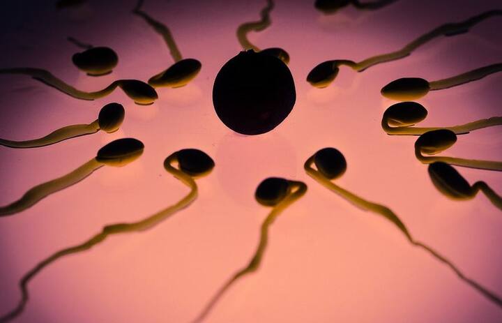 ये रिसर्च के दावे पर हैं. ABP न्यूज़ इसकी पुष्टि नहीं करता. आप किसी भी सुझाव पर अमल या इलाज शुरू करने से पहले अपने एक्सपर्ट की सलाह जरूर ले लें.फोटोः गूगल फ्री इमेज