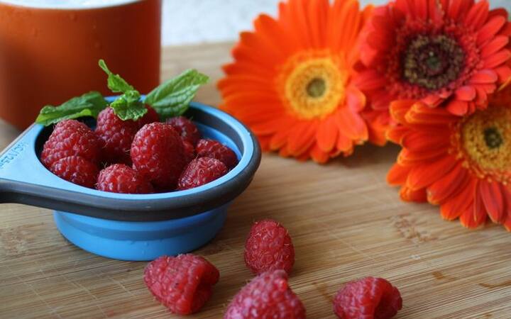 ये रिसर्च के दावे पर हैं. ABP न्यूज़ इसकी पुष्टि नहीं करता. आप किसी भी सुझाव पर अमल या इलाज शुरू करने से पहले अपने एक्सपर्ट की सलाह जरूर ले लें. फोटोः गूगल फ्री इमेजफोटोः गूगल फ्री इमेज