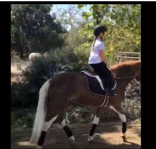 वहीं इससे पहले डेविड और उनकी पत्नी ने बेटी को बर्थ-डे पर £7,000 यानि 6 लाख 32 हजार 862 रुपए का घोड़ा गिफ्ट किया था. (तस्वीर: इंस्टाग्राम) 