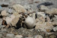 इराक के इन शहरों में 5 हजार से अधिक शव, तस्वीरें देख नहीं पाएंगे आप