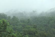 भारी बारिश से मुंबई में त्राहि-त्राहि, कई इलाकों में बाढ़ जैसे हालात