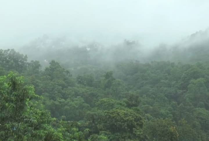  देश के कई राज्यों में पिछले 24 घंटे से भारी बारिश हो रही है. महाराष्ट्र के अलावा गुजरात, मध्य प्रदेश और छत्तीसगढ़ में भारी बारिश का अलर्ट जारी किया जा चुका है. इसके अलावा विदर्भ, मराठवाड़ा, तेलंगाना और उत्तरी तटीय आंध्र प्रदेश में भी भारी बारिश जारी रहेगी. लेकिन दिल्ली और पश्चिम उत्तर प्रदेश में अभी भीषण गर्मी जारी रहेगी. (तस्वीर: एएनआई)