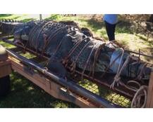 ऑस्ट्रेलिया में पकड़ा गया 600 किलो का विशाल मगरमच्छ, तस्वीरें देखकर चौंक जाएंगे आप