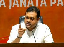 हिंदू-हिंदुस्तान को बार-बार बदनाम कर रहे हैं राहुल: BJP