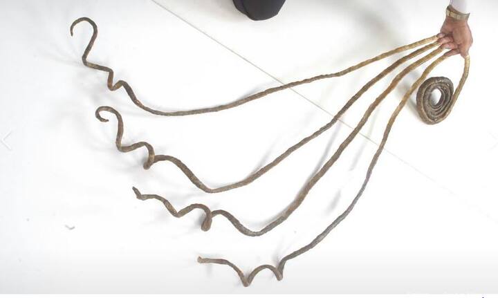 म्यूजियम की ओर से जारी बयान के मुताबिक, बरसों तक नाखून नहीं काटने के चलते अब उनका बायां हाथ हमेशा के लिए बेजान हो गया है. (तस्वीर: फेसबुक) 