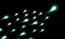 स्पर्म को रखना है हेल्दी तो रात में ना करें ये काम