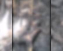 संभल : दबंगों ने महिला से किया गैंगरेप फिर मंदिर के हवन कुंड में जिंदा जलाया, अब तक दो गिरफ्तार