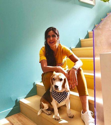 आपको बता दें, फिलहाल कैटरीना बर्थडे सेलिब्रेशन के चलते अपने दोस्तों के साथ लंदन और न्यूयॉर्क के टूर पर हैं.