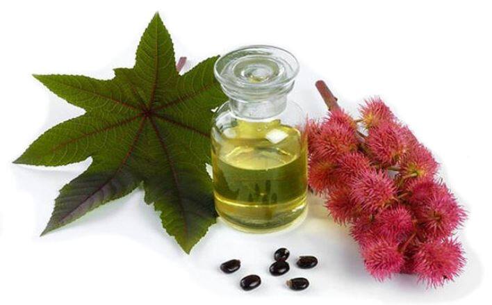 नारियल तेल स्ट्रेच मार्क्‍स हटाने में भी मदद करता है और होंठ को फटने से बचाने के लिए भी इसे नियमित रूप से होंठ पर लगाया जा सकता है. (तस्वीर-गूगल फ्री इमेज)