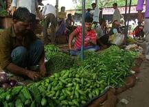 इलाहाबाद : सब्जियों और फलों की कीमतों पर पड़ने लगा है ट्रांसपोर्टरों की हड़ताल का असर, डेढ़ से दोगुना तक बढ़े दाम