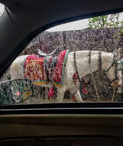 दिल्लीं में मानसून दस्तक दे चुका है. बेशक मानसून में लोगों को परेशानी हो रही है लेकिन बावजूद इसके लोग इसे बेहद एन्जॉय करते हैं. फोटोः इंस्टाग्राम
