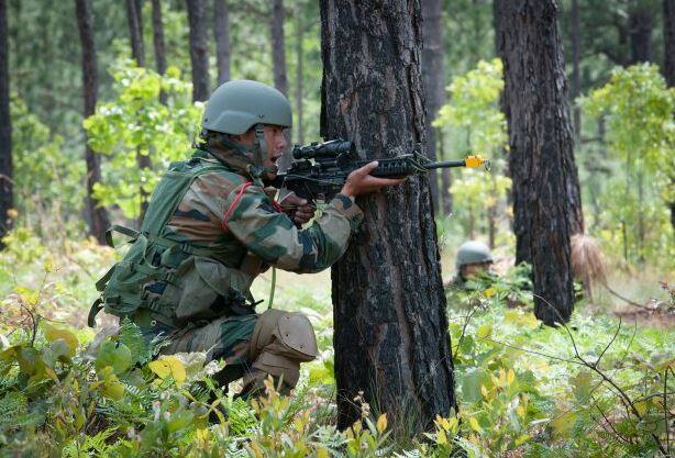 13 जून, 1999 में भारतीय सेना ने द्रास सेक्टर में पाकिस्तान सेना को पराजित कर कब्जा कर लिया. तस्वीर: गूगल फ्री इमेज