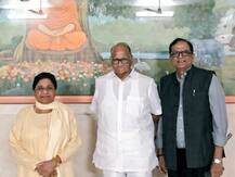 रिश्तों में तल्खी खत्म करने के लिए शरद पवार ने मायावती से की मुलाकात, गठबंधन की संभावना तेज