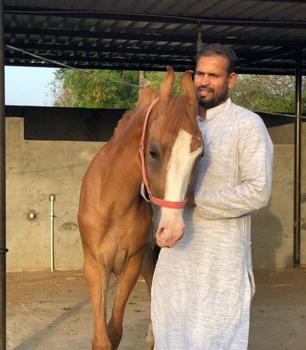 दरअसल विस्फोटक बल्लेबाज यूसुफ पठान ने सोशल मीडिया पर अपने इस दोस्त की एक ताजा तस्वीर शेयर की है. फोटो-इंस्टाग्राम