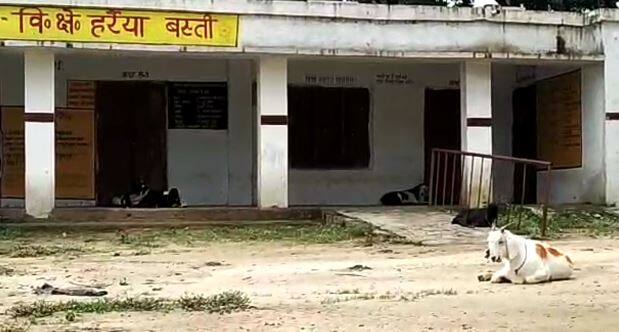 यूपी: बस्ती में कब्रिस्तान में चल रहा है प्राइमरी स्कूल, बच्चों के बजाए आते हैं सिर्फ जानवर