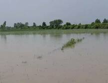 यूपी में भारी बारिश से हाहाकार, अभी तक 92 की मौत, नदियों का जलस्तर खतरनाक स्तर पर