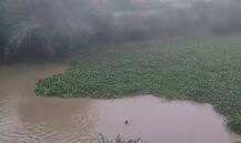 बस्ती: बच्चे को रोने के लेकर पति-पत्नी के बीच हुई थी तकरार, अगली सुबह पत्नी ने नदी में लगा दी छलांग