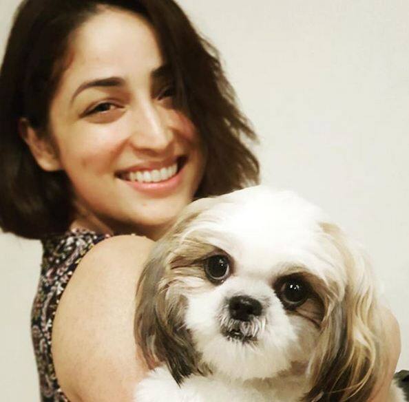 यामी ने एक पैट के साथ भी तस्वीर खिंचवाई हैं. फोटोः इंस्टाग्राम  