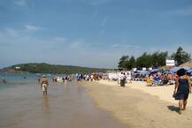 गोवा मेडिकल कॉलेज में छात्रों से ज्यादा शराब पीती हैं छात्राएं