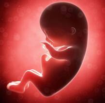 बच्चे पैदा करने की प्‍लानिंग कर रहे हैं तो पहले ये खबर पढ़ लें