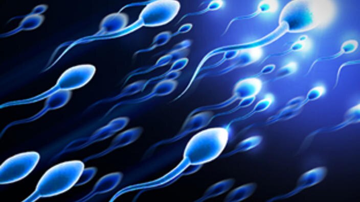 How Air Pollution Reduces Sperm Count through brain inflammation- UMSOM researchers Air Pollution Reduces Sperm Count: వాయు కాలుష్యం వల్ల ఆ కౌంట్ తగ్గిపోతుందట.. తాజా పరిశోధనలో షాకింగ్ విషయాలు!