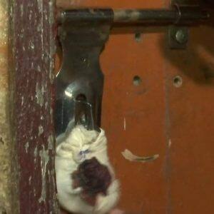 यूपी के देवरिया में बच्चियों से यौन शोषण के खुलासे के बाद सील हुआ बालिका गृह