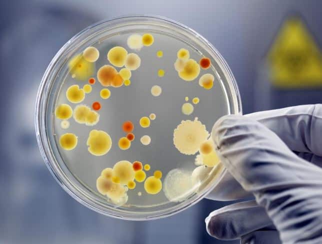 थेरेपी से इन्फेक्शन के होने का खतरा बना रहता है. तस्वीर: गूगल फ्री इमेज