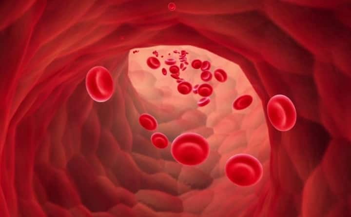 वहीं कीमोथेरेपी से खून की कमी भी होने लगती है. तस्वीर: गूगल फ्री इमेज