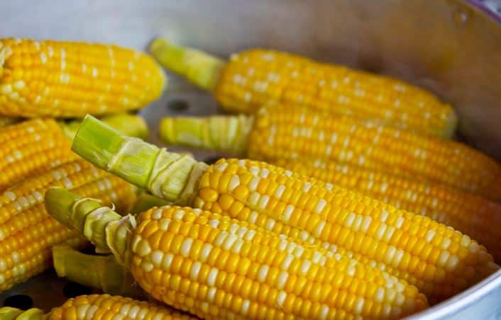 
मौसमानुसार किया गया भोजन आपको लाभ देगा. फोटोः गूगल फ्री इमेज  
