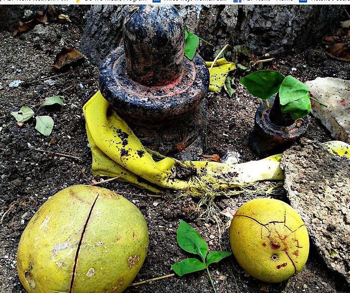 शिवलिंग का अभिषेक सूर्योदय से सूर्यास्त के बीच ही करें. फोटोः गूगल फ्री इमेज
