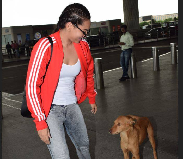 जैसे ही सोनाक्षी सिन्हा एयरपोर्ट पर पहुंची तो उनके साथ-साथ एक स्ट्रीट डॉग भी आने लगा. डॉग को अपने पीछे आते देख पहले तो वो हल्का सा घबराईं.