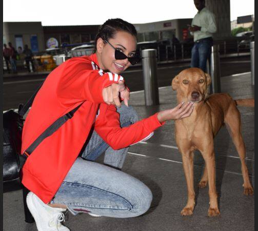 इतना ही नहीं सोनाक्षी ने पैपराजी को देखकर डॉग को कैमरा के लिए पोज देने के लिए भी कहा.