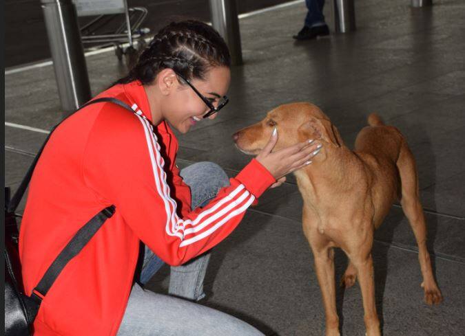 बाद में सोनाक्षी सिन्हा ने डॉग को प्यार भी किया और एयरपोर्ट के अंदर चली गईं. (सभी तस्वीरें -मानव मंगलानी)